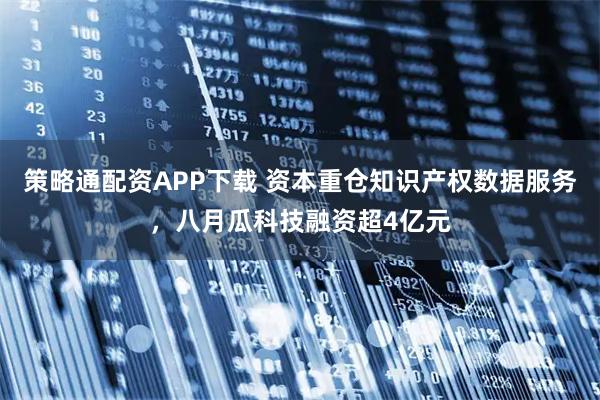 策略通配资APP下载 资本重仓知识产权数据服务，八月瓜科技融资超4亿元