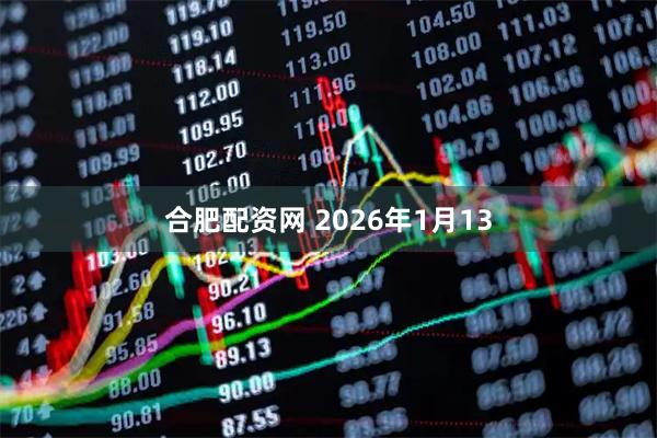 合肥配资网 2026年1月13