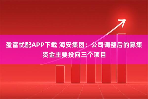 盈富忧配APP下载 海安集团：公司调整后的募集资金主要投向三个项目